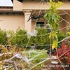 Wrapables 16ft Giant Triangular Spider Web Kit with Cobwebs and 2 Small Spiders, Indoor Outdoor Haunted House Halloween Decor - 4 of 4