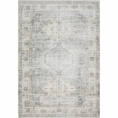 Hauteloom Laran Sage Distressed Washable Area Rug