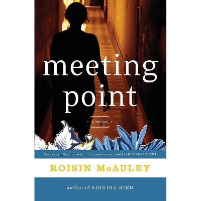 Meeting Point - by  Roisin McAuley (Paperback)