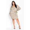 Women's Plus Size Genevieve Dress - taupe | CITY CHIC - 3 of 4