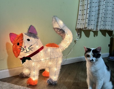 Guest review image 2 of 2, zoom in