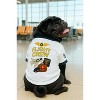 Parisian Pet 'Flight Crew' Halloween Costume for Dogs & Cats – Adorable Pilot Dog Costume, Pet Halloween Outfit, Navy and White - 3 of 3