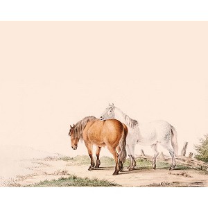 Poster Master Brown and White Horse - 1 of 2