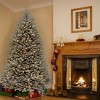 7' Pre-Lit Blue Dunhill Fir Artificial Christmas Tree White Lights - National Tree Company - 2 of 4