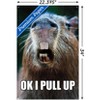 Trends International Capybara - Pull Up Unframed Wall Poster Prints - 3 of 4