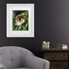 Trademark Fine Art - Steven Ellingson Pray On Flowers Matted Framed Art - 2 of 4