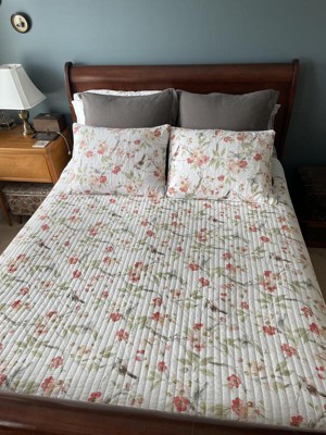 Pippa Floral Quilt Set - Full/queen Quilt And Two Standard Pillow Shams Pink  - Levtex Home : Target