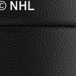 new york rangers