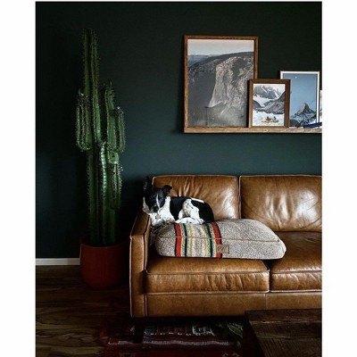 Lifelike Green Spined 6.5-ft Outdoor Potted Cactus