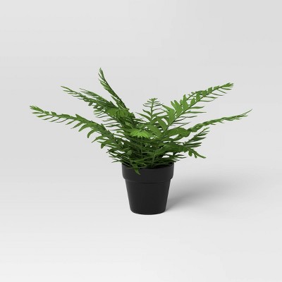 Here's Why You Should Consider Artificial Ferns for Your Home — Artificial  Eden