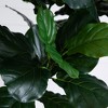 Nearly Natural 12-ft Artificial Fiddle Leaf Tree - 3 of 4