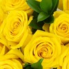 Dozen Fresh Cut Vibrant Roses - 3 of 4