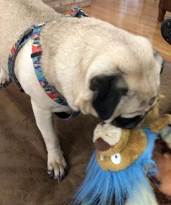 Guest review image 2 of 3, zoom in