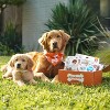 Nylabone Healthy Edibles WILD Natural Long-Lasting Bison Flavor Bone Chew Treats for Dogs, Small (16 Count) - 2 of 4
