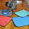 Bone Dry Large Gray Stripe Embroidered Paw Pet Mat - 3 of 4