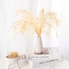 Unique Bargains Dried Grass Chasmanthium Oat Home Decor Flower Bouquet 1 Pc - 2 of 4