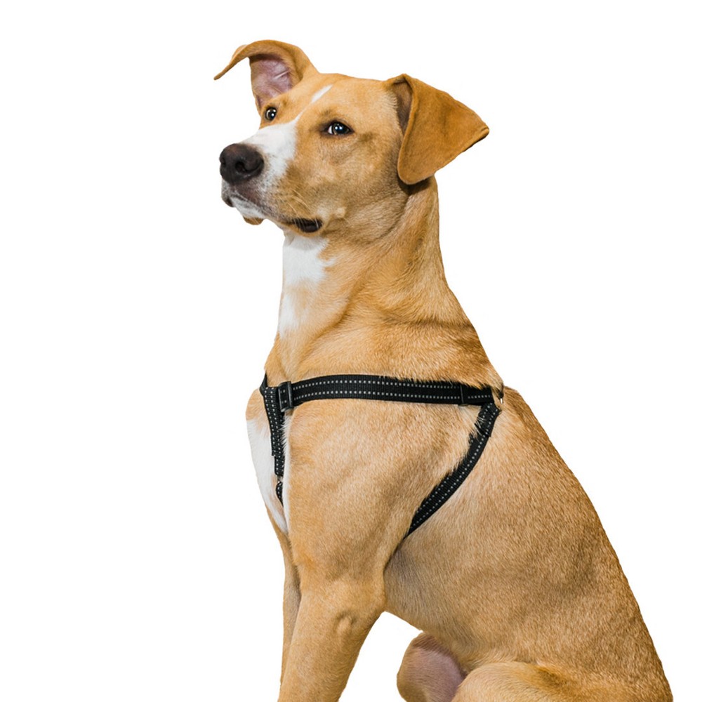 Photos - Collar / Harnesses Premier Pet Step-In Adjustable Dog Harness - M - Black