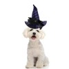 Unique Bargains Halloween Pet Holiday Headdress 5.12"x5.91" Purple - 2 of 4