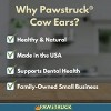 Pawstruck Natural Jumbo Cow Ears For Dogs - Healthy Single Ingredient Chew Made in USA - Low Calorie, Digestible Dental Dog Treats - 2 of 4