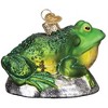 Old World Christmas Blown Glass Ornament for Christmas Tree, Bull Frog - 2 of 4