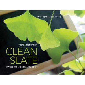Clean Slate - by  Marcia Lieberman (Paperback) - 1 of 1