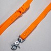 Waterproof PVC Dog Collar — All-Weather, Odor-Resistant, Durable & Easy-Clean — Tilley + Me - 4 of 4