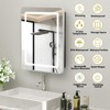 Lighted Medicine Cabinet with Mirror Wall Mounted Bathroom Mirror with Storage - 3 of 4
