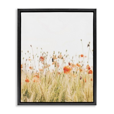 Stupell Industries Poppy Field Photography, 25" x 31"