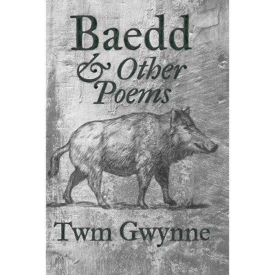 Baedd and Other Poems - by  Twm Gwynne (Paperback)