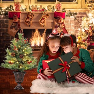 Pre-Lit Artificial Christmas Tree, 2FT Mini Tabletop Holiday Tree with 40 LED Lights, Pine Cones & Berries, Easy Setup - 1 of 4