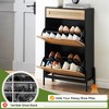 Freestanding Shoe Rack, Ratten Modern Flip Doors Shoe Storage Cabinet with 2 Adjustable Shelves and Drawer - 4 of 4