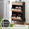 Freestanding Shoe Rack, Ratten Modern Flip Doors Shoe Storage Cabinet with 2 Adjustable Shelves and Drawer - image 4 of 4