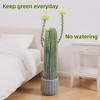 Faux Cactus Potted Plant Faux with Planter Realistic for Home Garden Office Indoor Outdoor Decoration Artificial Plant - 4 of 4