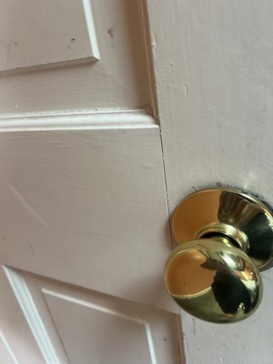 Guest review image 1 of 1, zoom in