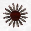 Unique Bargains Nylon Bristle Round Curling Hair Ruled Comb Brown 1 Pc - 3 of 4