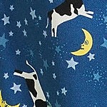 evening blue starry night cow