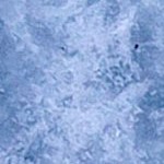 vegas golden knights