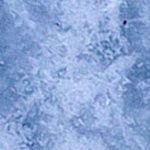 vegas golden knights