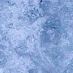 vegas golden knights