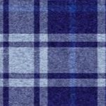 navy plaid