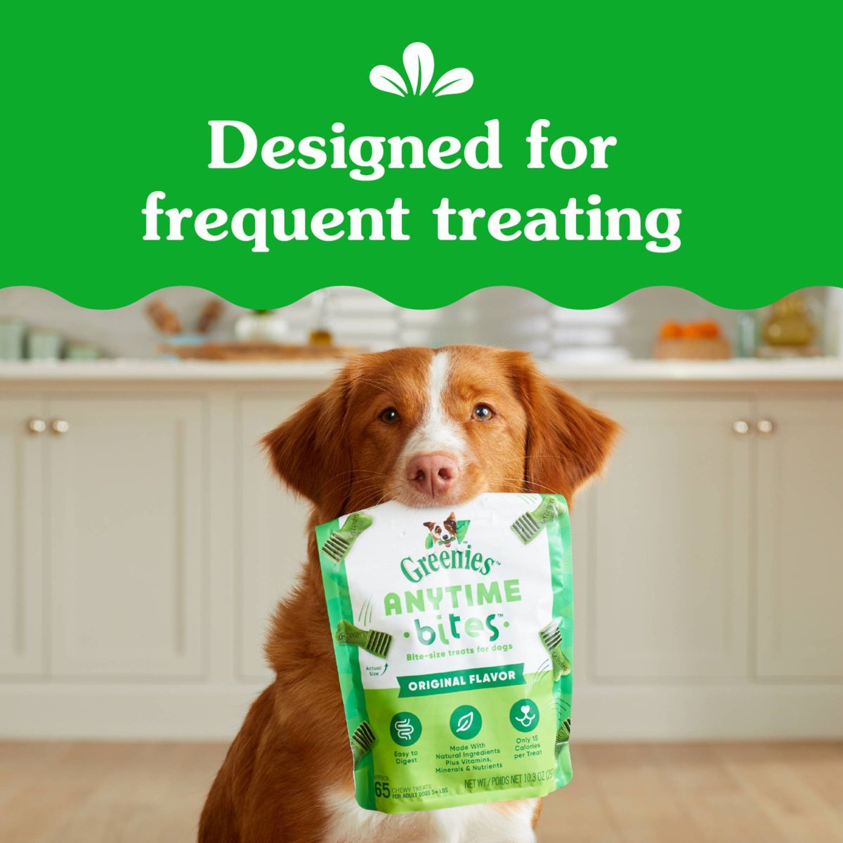 Greenies Anytime Bites Original Flavor Dog Treats - thumbnail 8