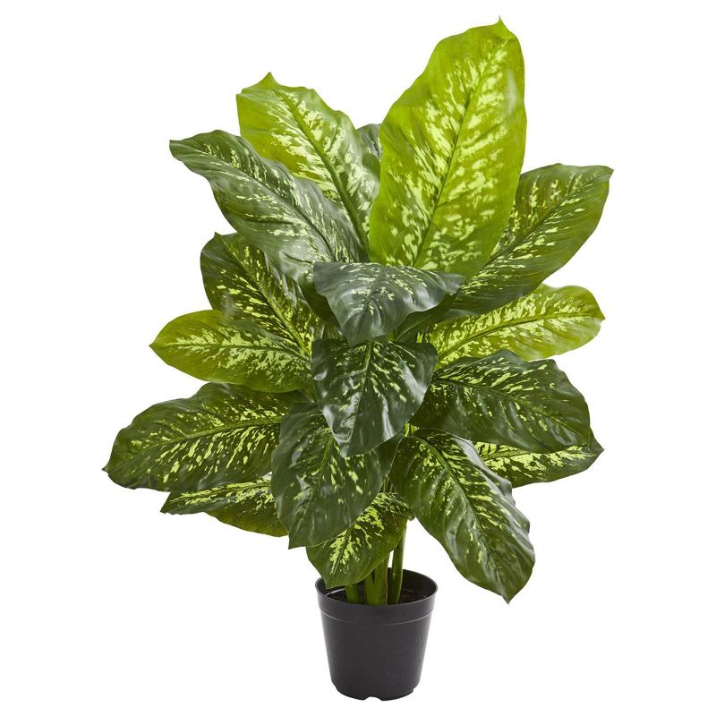 34&#34; x 22&#34; Artificial Dieffenbachia Plant in Pot - Nearly Natural, 1 of 5