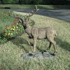 Design Toscano Grand-Scale Black Forest Garden Deer Sculpture - Multicolored - 2 of 4