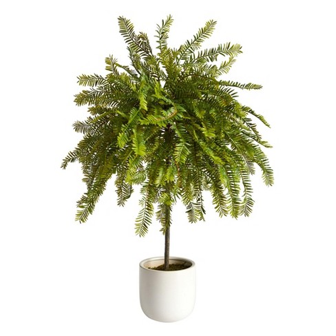 Nearly Natural 2-ft Northern Californian Cedar Canopy Artificial Tree In  Decorative Planter : Target