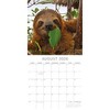 2026 Square Wall Calendar, Sloths, 16-Month Animals Theme with 180 Reminder Stickers (12x12 In) - 3 of 4