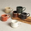 Mr. Coffee Espresso Whims 4-ounce Reactive Glaze Espresso Cup Set of 6 - 3 of 4