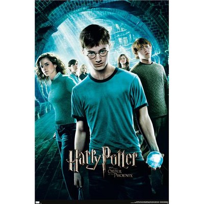 Trends International Harry Potter and the Order of the Phoenix - One ...