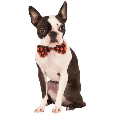 target dog bow tie