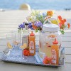 Master of Mixes Cocktail Essentials Peach Syrup - 375ml Bottle (12.7 Fl Oz) - Mixer Perfect for Bartenders and Mixologists - 3 of 3
