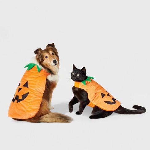 Pumpkin Full Body Dog and Cat Costume - Hyde & EEK! Boutique™ - image 1 of 4